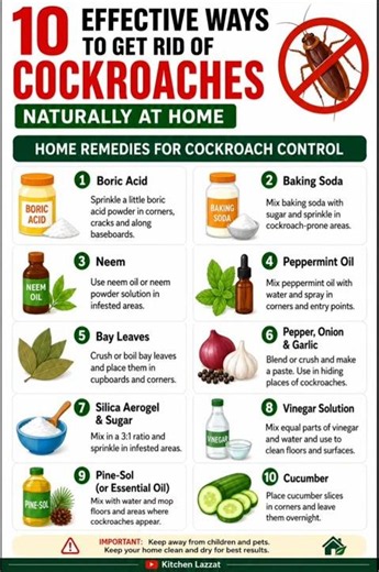 10 EFFECTIVE WAYS TO GET RID OF COCKROACHES NATURALLY#CockroachControl #GetRidOfCockroach#Homeremedy