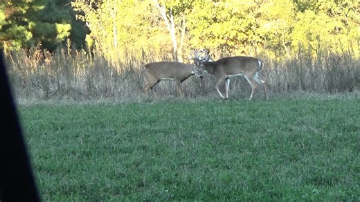 5K views · 220 reactions | #hunting Ready to RUMBLE | Cedar Ridge Whitetails | Facebook