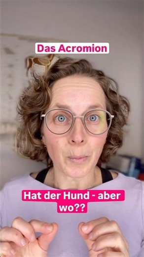 Der Hund hat ein Acromion - aber wo liegt das eigentlich?