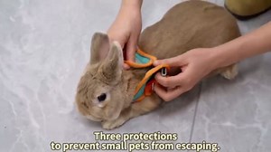 Adjustable Bunny Harness and Leash Set Double Buckle with Reflective Strips Rabbit Vest Pets Stuff Suitable for Rabbit Walks Accessories (Orange Green, S)