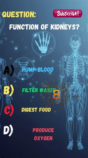 What Is the Function of the Kidneys? 💧 | Human Anatomy Quiz