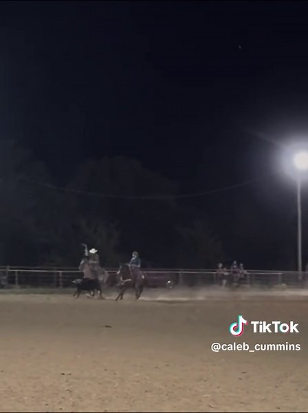 Understanding Heel Horse Techniques in Team Roping