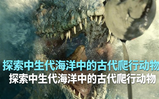 [中配]探索中生代海洋中的古代爬行动物 - Dinosaur Discovery