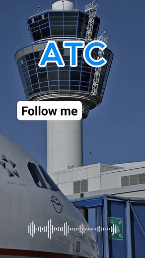 Al Pilot Tries to Replace Human Pilot ✈️ #aviationlovers #pilot #dhlexpress #airport #follow | Altitude Aviation