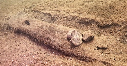 Here’s where each of the 16 ancient canoes found in Lake Mendota were discovered