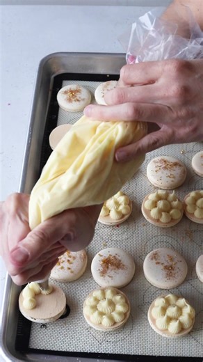 Blueberry Cheesecake Macaron Fail Compilation