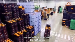 59K views · 768 reactions | Chen Wenxuan purchases large amounts of peaches in rural areas of China every year, freeze-dries them, and exports them worldwide - helping rural households improve their living standards. Global trade isn't just for high-end technologies or upscale luxuries. It also helps improve the lives of small business owners and operators around the world. | Alibaba.com | Facebook