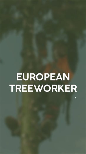 🌳European Treeworker (ETW’er) – Vacature Boomverzorger regio Eindhoven🌳 Werk jij graag klimmend of met de hoogwerker aan mooie snoeiklussen in regio Eindhoven, Noord-Brabant? Als fulltime European Treeworker bij Slaats Boomverzorging zorg je voor vakwerk én tevreden klanten. We werken voor gemeenten in de regio en verzorgen particulier snoeiwerk. Daarnaast leiden we aanstormend talent op, met modern materieel, voertuigen en machines. Dat doen we met een hecht team van boomverzorgers, vol Braba