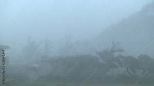 Hurricane Eye Wall Violent Wind And Blinding Rain - Danas