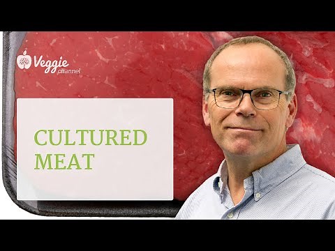 Cultured meat - Mark Post