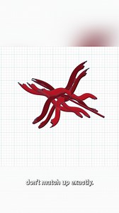 297K views · 4.7K reactions | What happens when you reflect a laser back into itself 樂 | The Action Lab | Facebook