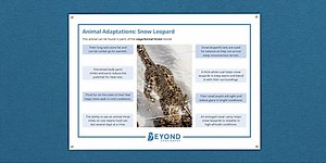 Animal Adaptations: Snow Leopard Display Poster