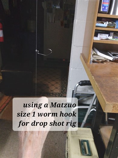 Using a drop shot rig with live bait