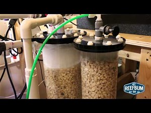 Setup & Review of the MTC PROCAL Calcium Reactor