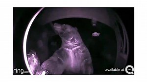 155K views · 968 reactions | BEST PRICE AVAILABLE! Smart Video Doorbell with Ring Chime, 2 Months Storage & 2-way Talk System under $160! Own now & pay over 5 months with Easy Pay® + it ships FREE! Your choice of 4 colors! | QVC | Facebook