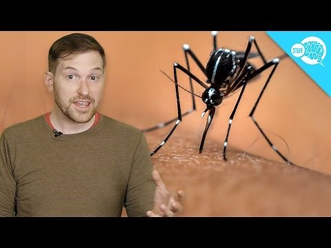 Are Some People Immune To Mosquitoes?