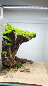 Projekt Cliff wykonany na zamówienie. Wymiary akwarium 30x30x35cm. Private customer project with Cliff scape . Aquarium size 30x30x35cm. #aquarium #aquascape #natureaquarium #mossaquascape #mossball #ancientstone | Ancient Stone