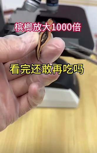 Microscopic Examination of Fibrous Structures