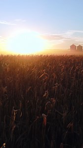 12 reactions | Time to start the day! #DigitalRestStop | Pivot Bio | Facebook