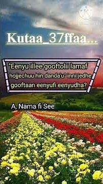 GAAFFII MACAAFA QULQULLUU #farfannaa #oromo #bible #biblestudy