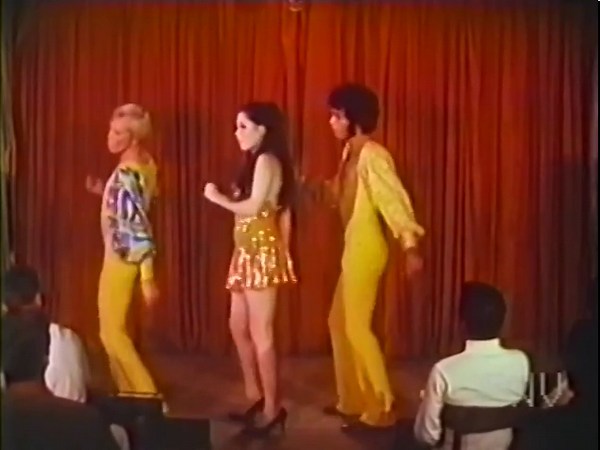 Gay Camp Classics, Vol.2: Les Boys