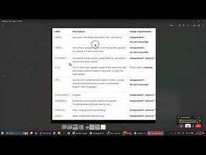 Magic Data Transcription Platform Training video