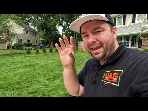 ECHO PB-9010T Review with ‪@TheLawngineer‬