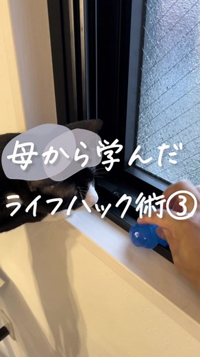 #一人暮らし #ライフハック #tiktok教室 #便利 #掃除 #収納