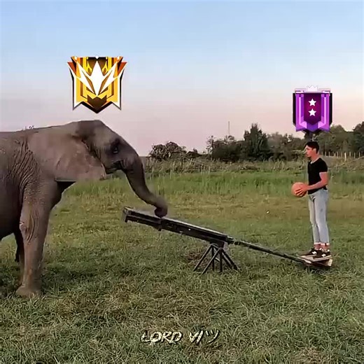 funny quality on TikTok