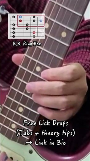 B.B. King Lick 5 from How Blue Can You Get Live at Sing Sing Prison 1972 | Free Lick Drop in bio