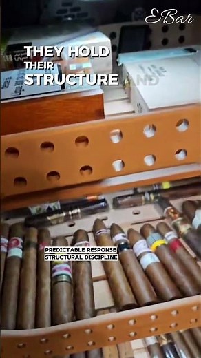 Luxury Humidor vs Standard: The Real Differences Specs Don’t Show
