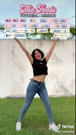 The Feels Dance Tutorial Mirror