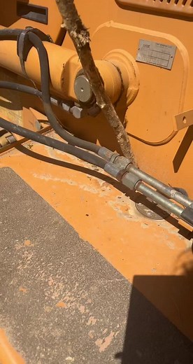 Madi 🦕 (@madatatat)’s videos with original sound - Madi 🦕