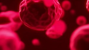 Download Microscopic 3D model of neutrophil, perfect for e-learning and biology animation. for free