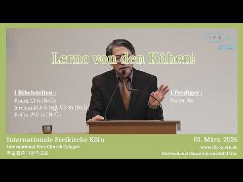 Lerne von den Kühen!