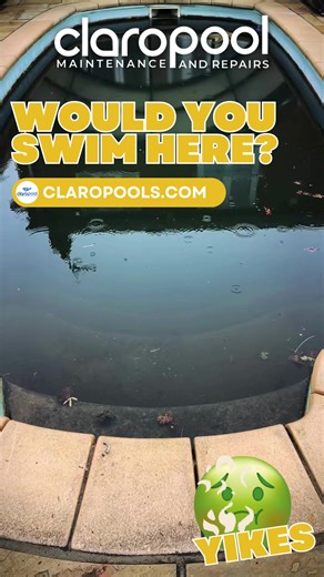 Would you swim here? 🐸🍃 This pool looks like it’s auditioning for a swamp documentary. What you're seeing is a full-blown neglect disaster — layers of leaves, stagnant water, and algae buildup from months (maybe years) of no cleaning, no circulation, and zero chemical treatment. ⚠️ Code Violation? Absolutely. This can pose serious health risks and may be flagged during inspections. 🔧 Could it have been prevented? 100%. ✅ Regular maintenance ✅ Balanced water chemistry ✅ Proper filtration & cir
