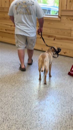 152 reactions · 25 comments | Saved a life today! This is THE FIRST...