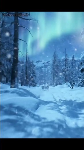 Frozen Wild ❄️🐺 | Wolves of the Snow #Wildlife #CinematicNature
