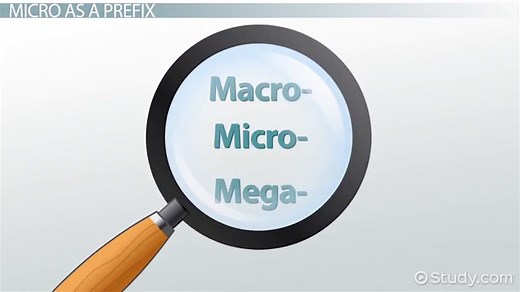 Medical Prefixes to Indicate Size