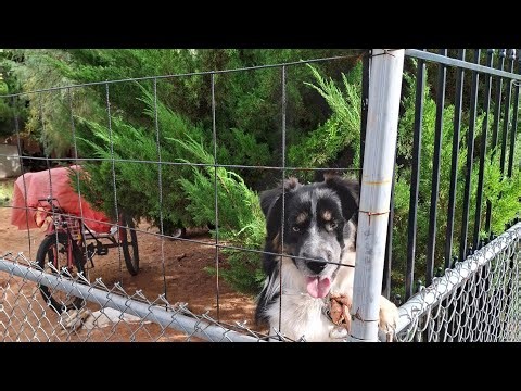 First use of Milescraft Circular saw guide November 3 2025