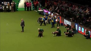 Blink and you'll miss it...flyball is the fastest sport on four legs! 🐾 🎾 | Crufts