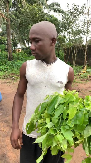 124K views · 3.1K reactions | Getting ready for market | Mr Swallow | Facebook