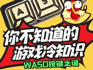 15.19版本wasd 操作教程