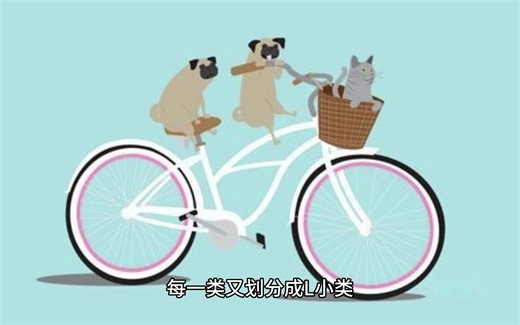 矩阵求导：输出是mL的矩阵，输入是nk的矩阵，求导是m×L×k×n的矩阵