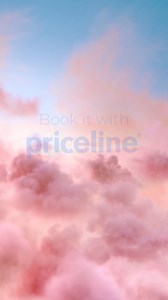 With the millions of deals on Priceline, your dream trip can now become a reality. | priceline