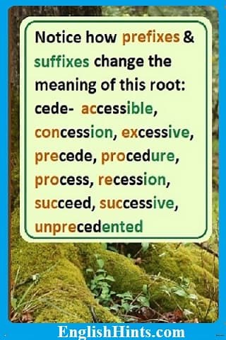 Roots, Prefixes and Suffixes to Build Your Vocabulary