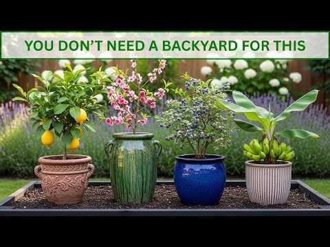 Top 10 Fruit Trees That Grow Well in Pots for Small Spaces and Gardens