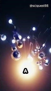 ✨🌟 How Do Stars Form? 😱 The Birth of Stars Explained! #science