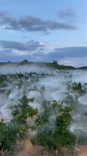 Automated irrigation farming systems | Zortrax Agriculture Corporation