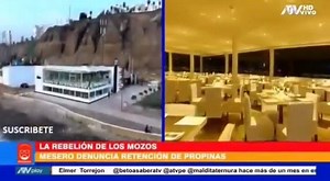 16K views · 221 reactions | NO SE RESPETAN LOS DERECHOS LABORALES EN EL RESTAURANTE DE CARLOS BRUCE Trabajadores de "La Trastienda" de Techito Bruce denuncian que no los ponen en planilla, tampoco les pagan con recibo por honorarios, sino de manera informal, "plata en mano", por sus servicios. El congresista se pronunció al respectoy dijo: "Eso no es verdad. Nosotros cumplimos con todas las leyes laborales". ¿Irá hoy a visitarlos SUNAFIL para poner orden? | ElObservador | Facebook